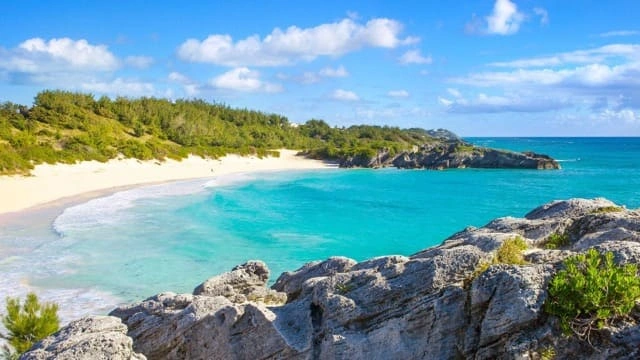 Bermuda Exempted Company