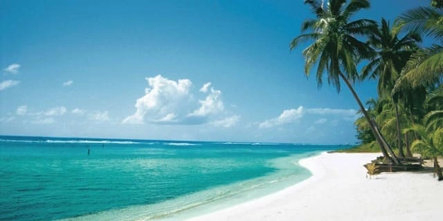 Cayman Islands Exempted Company