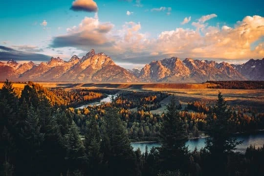 Wyoming LLC